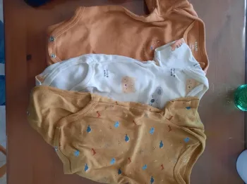Lot Body