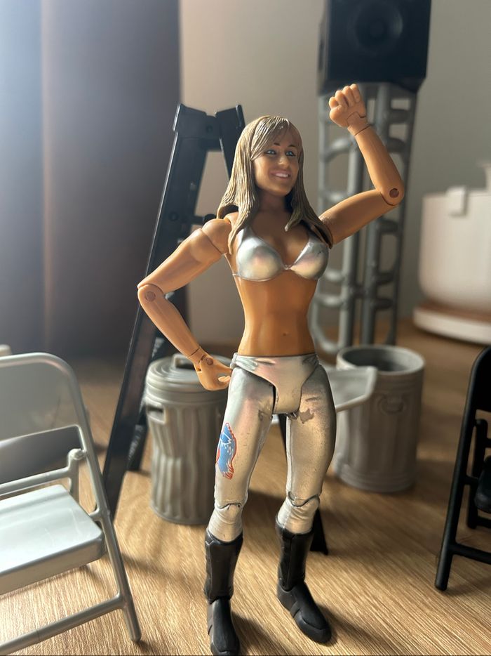 Michelle McCool WWE Action Figure - photo numéro 3