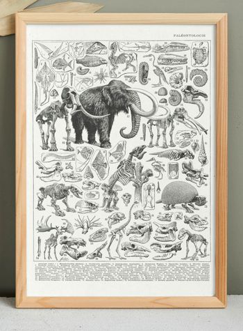 🦣 Affiche sur la paléontologie "mamouth", d'après une lithographie de 1928
