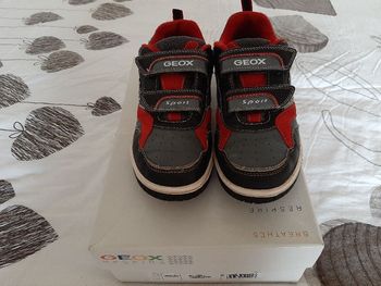 Basket Geox