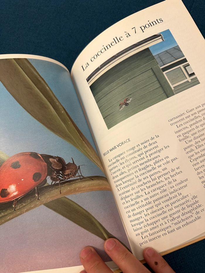 Beau livre vintage Animaux des maisons et des jardins Cemea Hachette Jeunesse documents nature - photo numéro 5