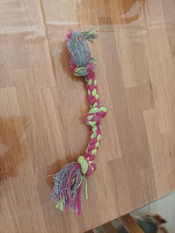 corde chien