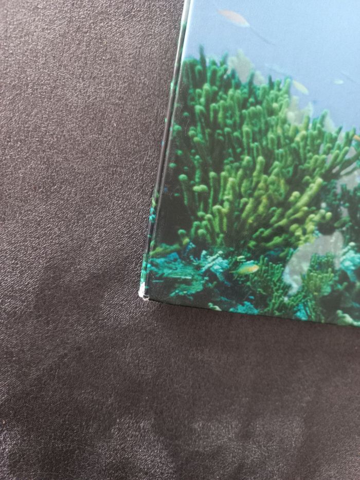 Livre un.roi dans l'océan le dauphin éditions atlas - photo numéro 2