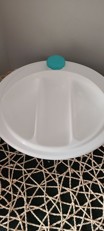 ASSIETTE CHAUFFANTE POUR BEBE