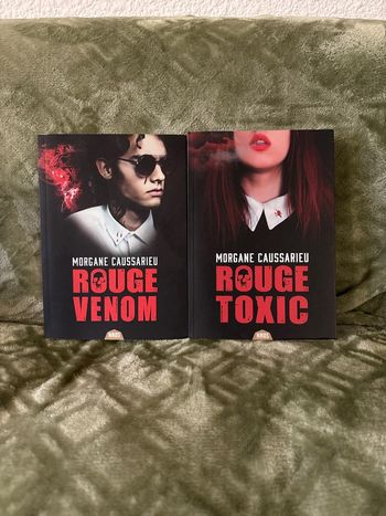 Lot livre Morgane caussarieu