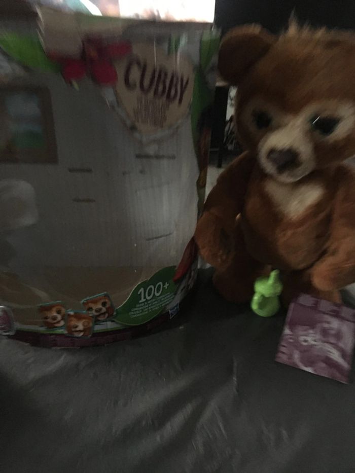 Ours 🐻 cubby - photo numéro 3