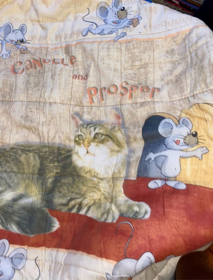 Couette/ Couverture 210X230