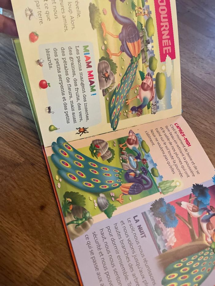 Livre collection Les animaux du zoo Sounda le paon - photo numéro 7