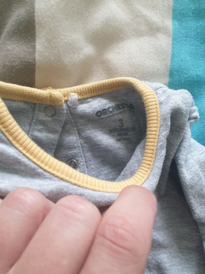 Ensemble - photo numéro 4