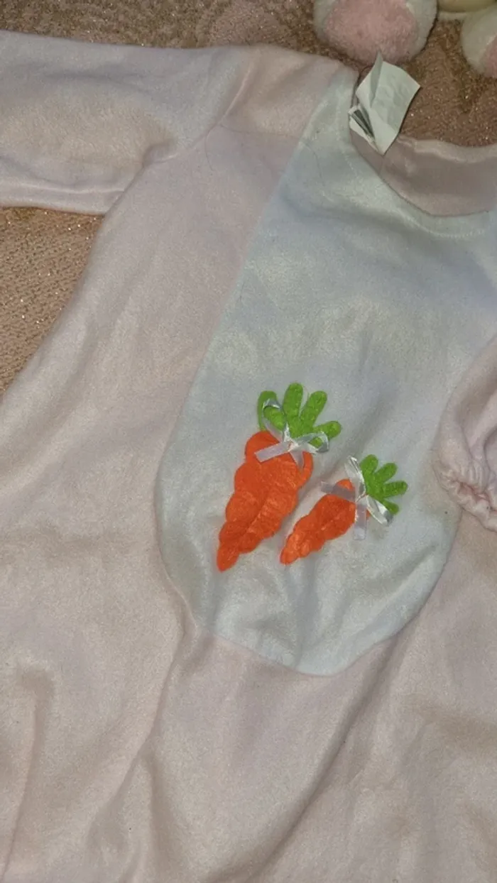 Costume lapin pour Pâques - photo numéro 2