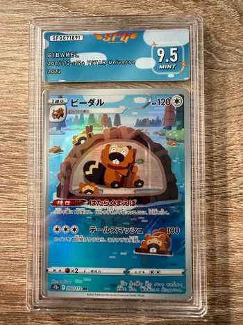 Carte gradé castorno Ar