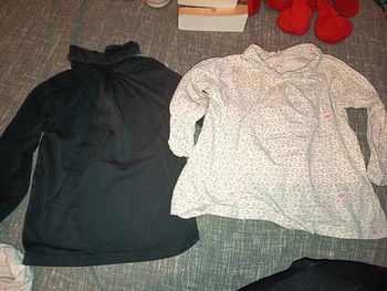 Lot de 2 hauts 24 mois