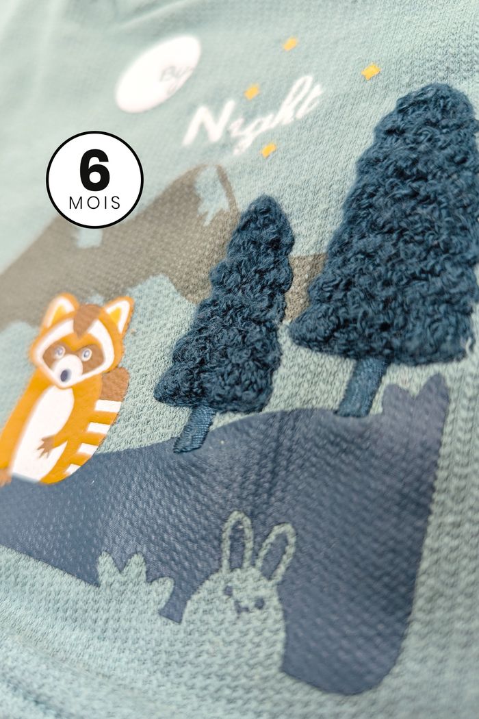 Pull / Sweat à capuche vert - Foret renard texturé - Obaïbi 6 mois - photo numéro 4