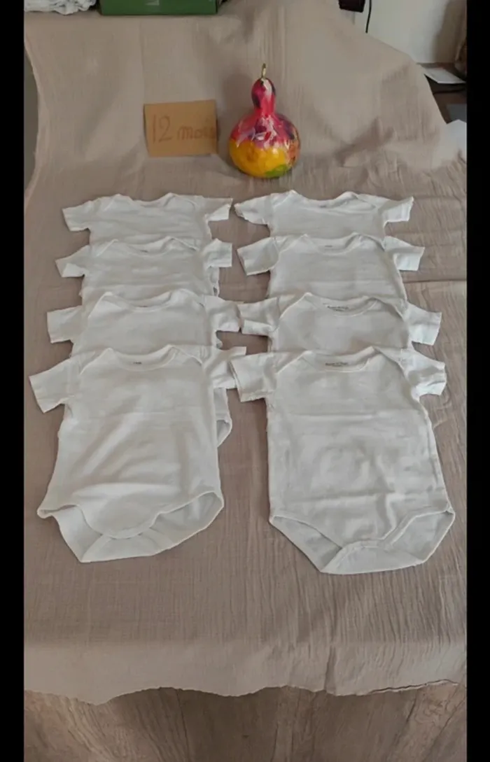 8 Bodies 74/80cm