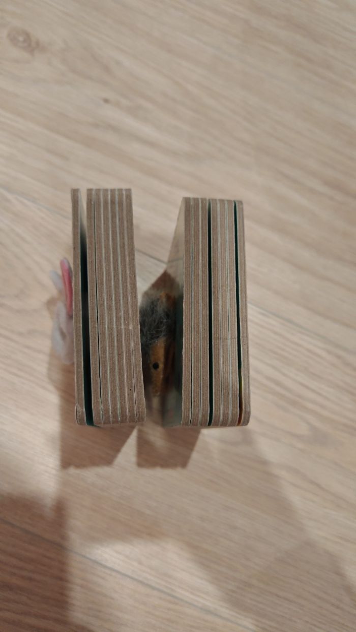 2 livres marionnettes doudou lapin- non non le hérisson - photo numéro 8