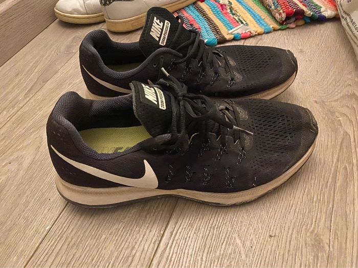 Nike pegasus