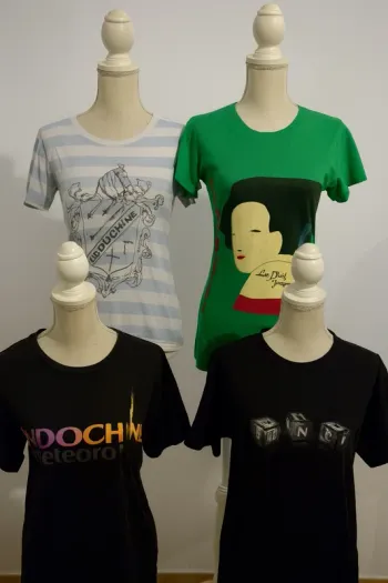 Lot de 5 t-shirt Indochine