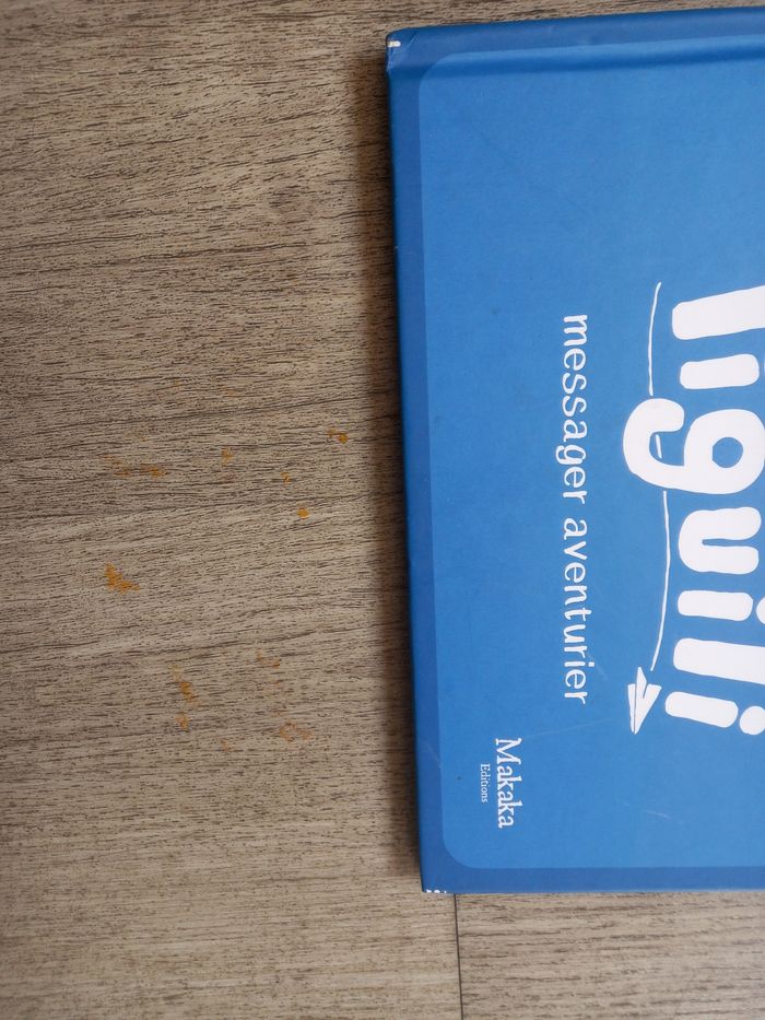 Liguili messager aventurier BD dont tu es l'héros à partir de 3 ans LIVRE JEU - photo numéro 6