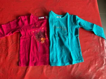 Lot 2 tee-shirts Okaïdi 5 ans