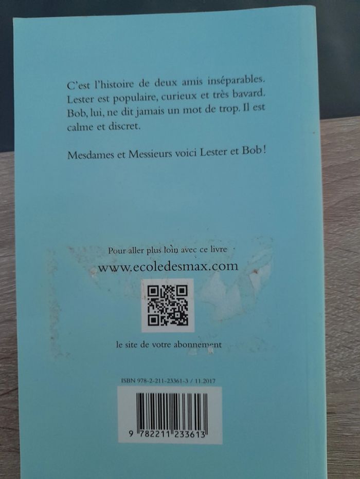 roman école des loisirs - Les aventures de Lester et Bob - photo numéro 3