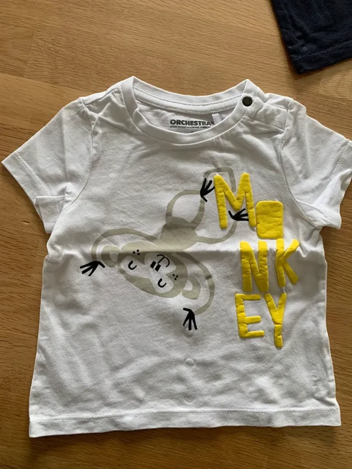 Lot 2 t-shirt 9 mois - photo numéro 2