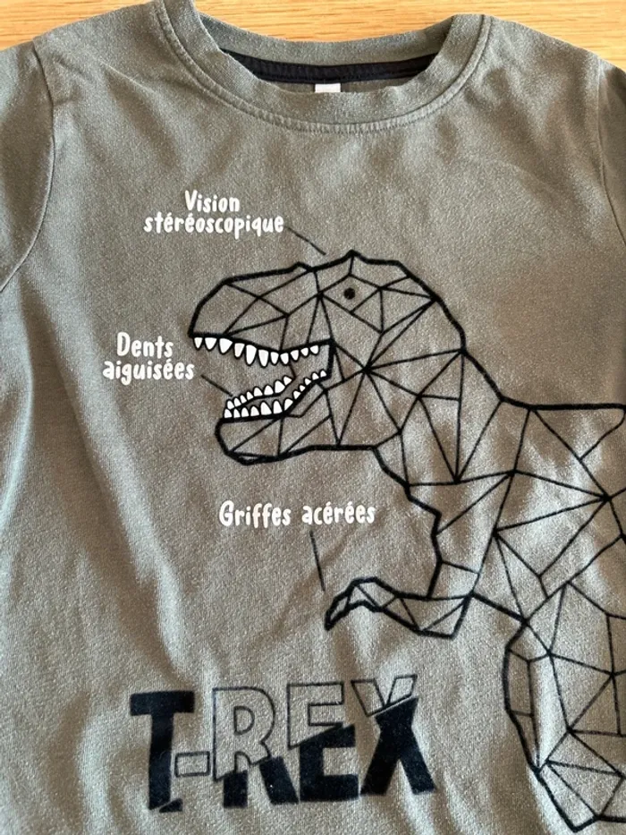 T-shirt manche longue Dinosaure - photo numéro 2