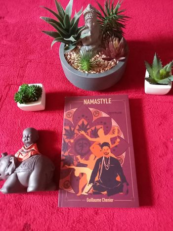 Livre Namastyle de Guillaume Chenier