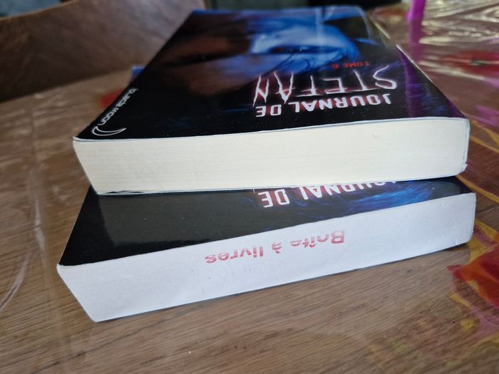 Saga Vampire Diaries 2 derniers tomes - photo numéro 5