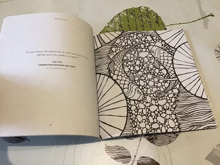 Livre coloriage contemplation coloriage zen - photo numéro 3