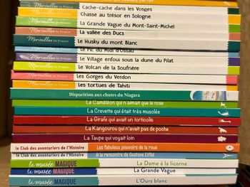 ⚠️ Ne pas acheter cette annonce ⚠️