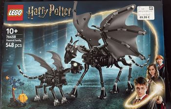 Lego Harry Potter La famille de Sombrals 76458