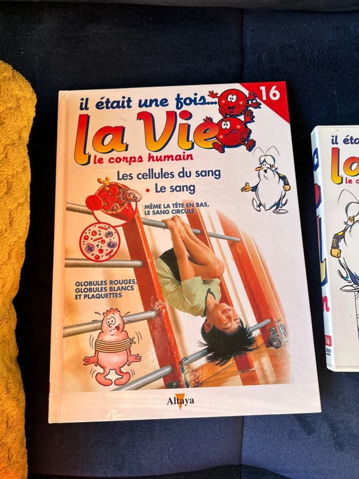 Livre et dvd numéro 16 collection la vie le corps humain - photo numéro 4