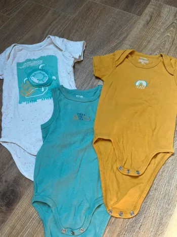 Lot 3 bodies