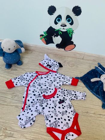 Ensemble dalmatien 🐶