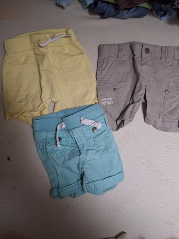 Lot shorts