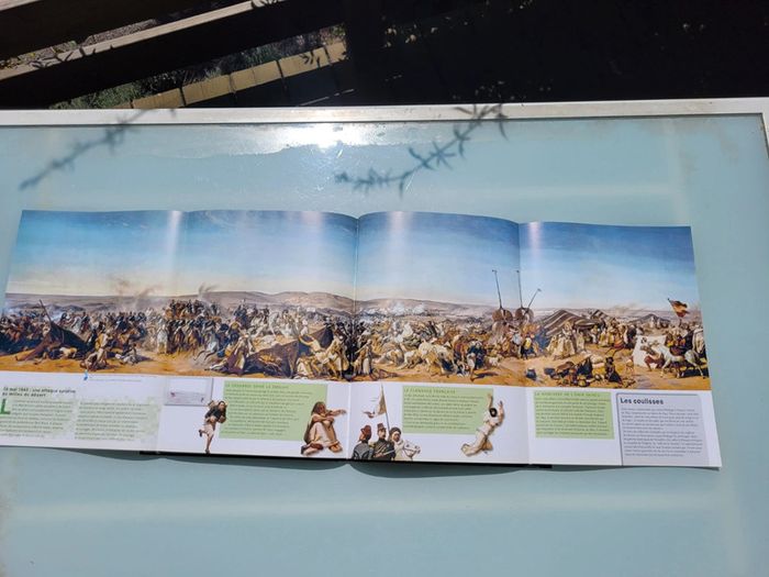 Beau livre grand format L'Histoire de France par la peinture, Dimitri Casali et C. Beyeler (46) - photo numéro 10