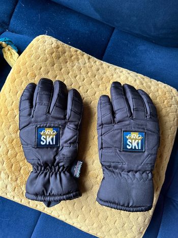 Gant de ski