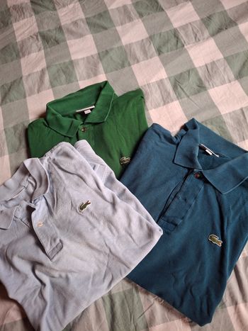 Lot de 3 polo Lacoste 🐊 