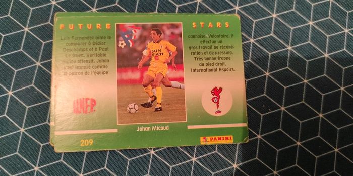 Panini future stars - photo numéro 6