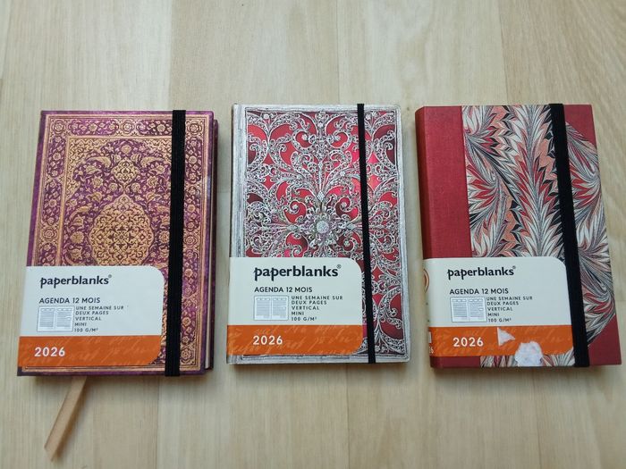 Lot d'agenda paperblancks