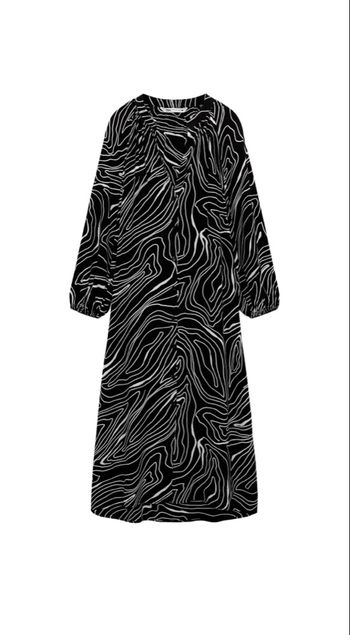 robe longue manches longues imprimé zèbre zara 