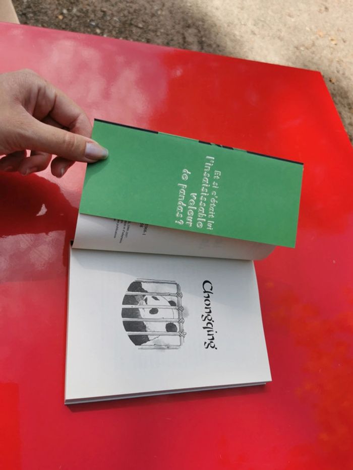 Le voleur de pandas - photo numéro 4