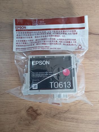 Cartouche d'encre Epson Magenta T0613