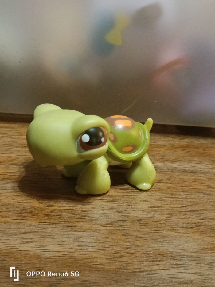 LPS tortue 🐢
