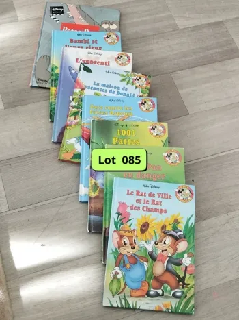 Lot retro de 8 tomes Disney club du livre années 90 L085 - 7581766121