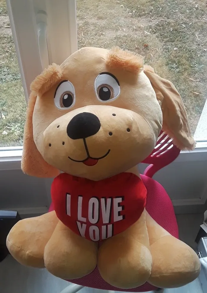 Gros nounours chien - photo numéro 3