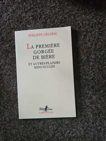 La première gorgée de bière et autres plaisirs minuscules