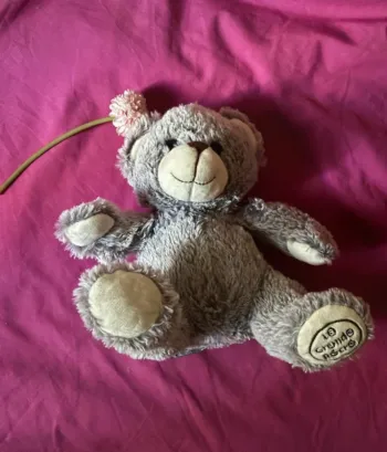 Ours en peluche