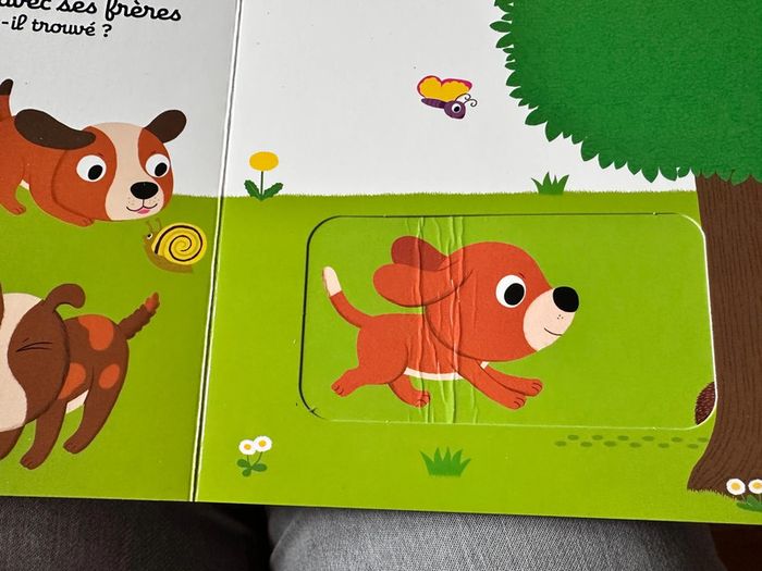 Bonjour bébé chien Nathan - photo numéro 3
