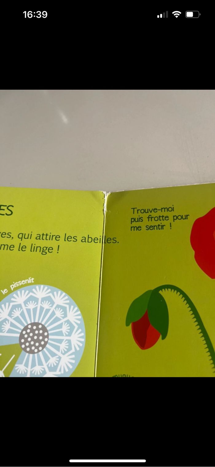 Les trésors de la nature, ses couleurs et ses odeurs - photo numéro 5